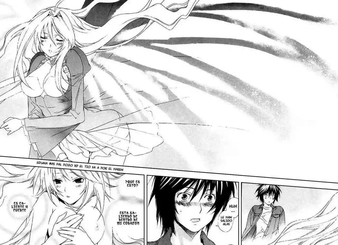 Read Sekirei es Manga Online