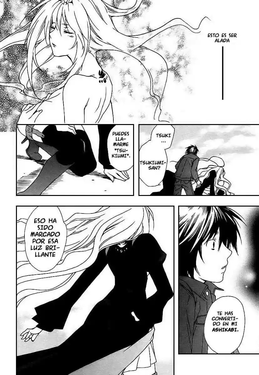Read Sekirei es Manga Online