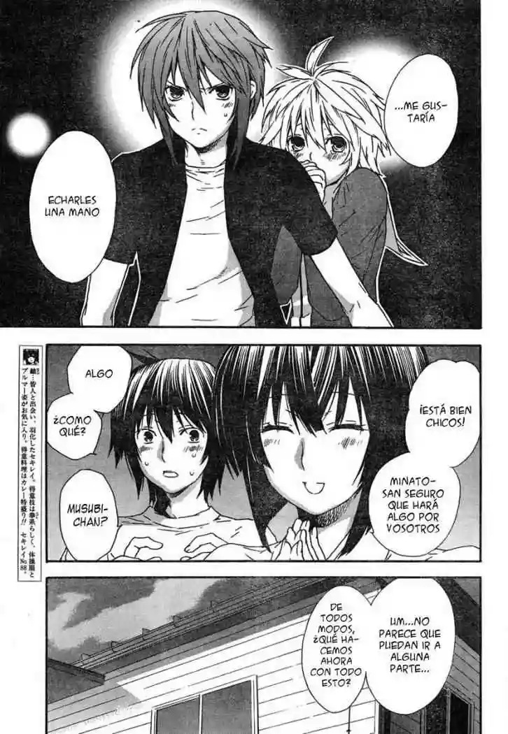 Read Sekirei es Manga Online