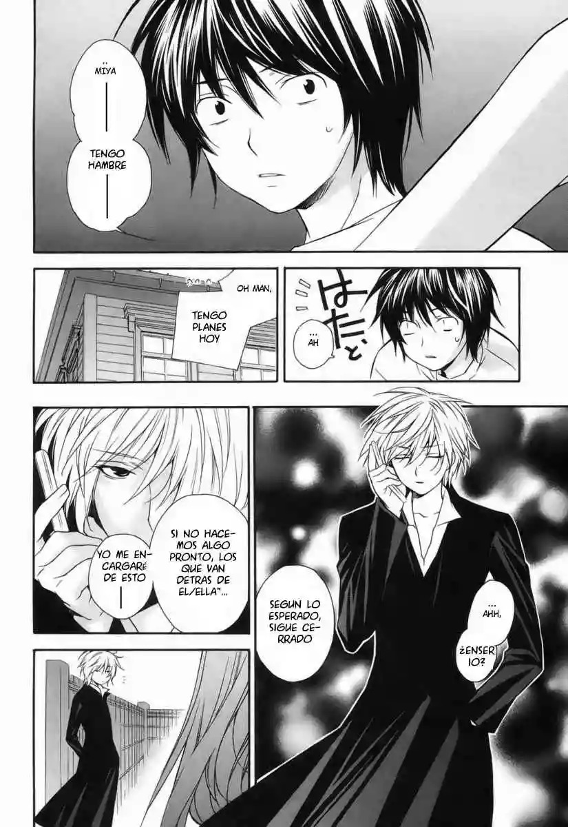Read Sekirei es Manga Online