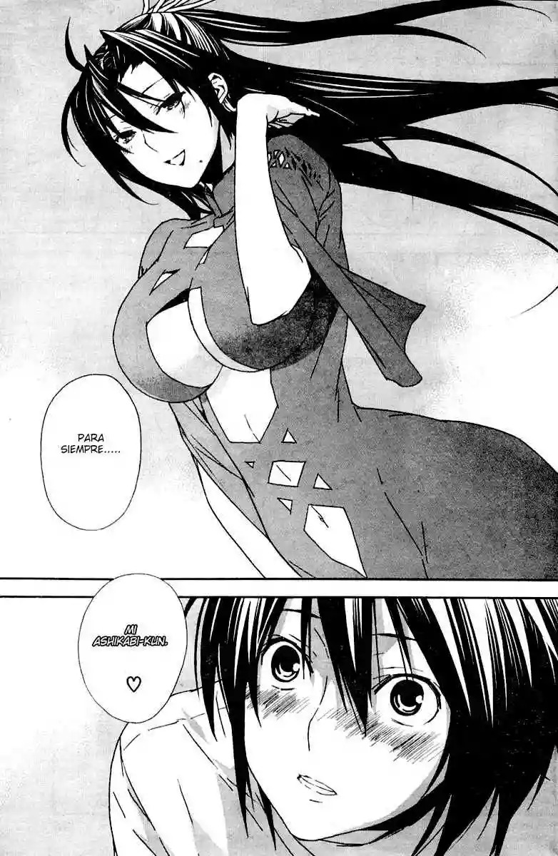 Read Sekirei es Manga Online