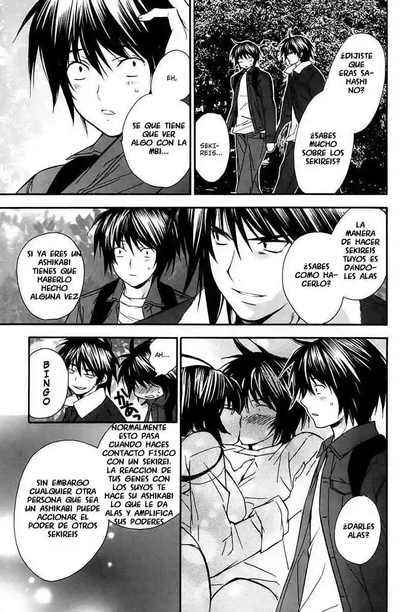 Read Sekirei es Manga Online